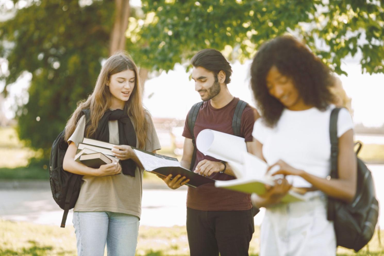 Sessione di lavoro del team sylivara